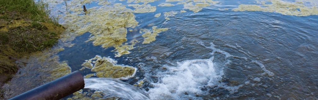 Rushing river water beside algae-covered banks and a discharge pipe