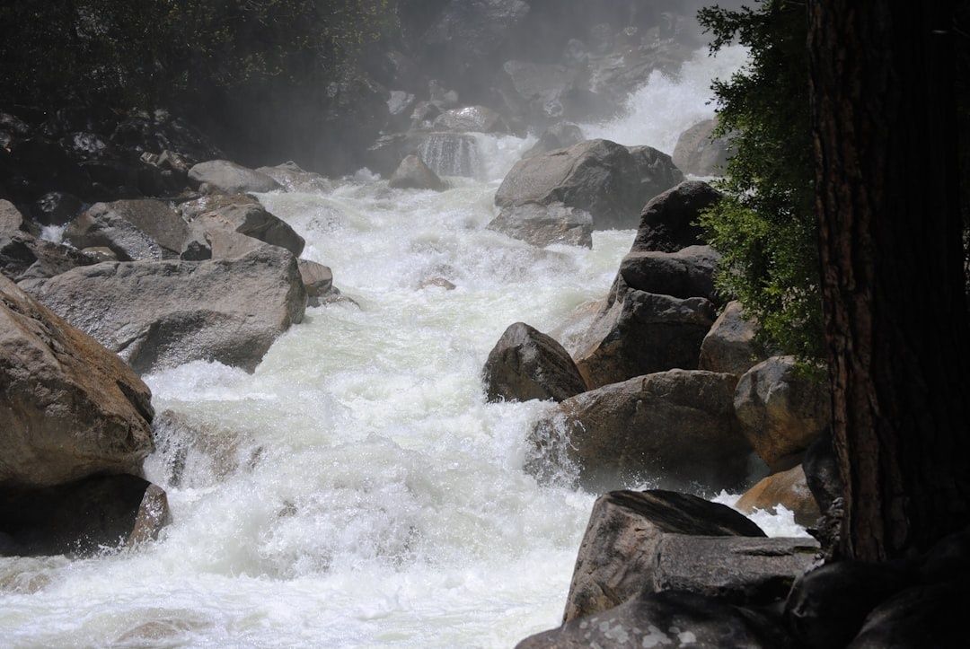 Foaming whitewater rushes between large rocks in a forested channel